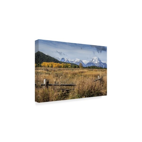 Galloimages Online 'Gtnp Scene Mt. Moran' Canvas Art,12x19